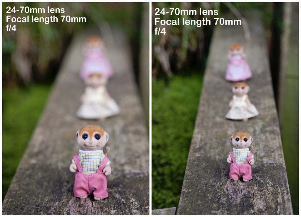 how-to-blur-the-background-in-photos