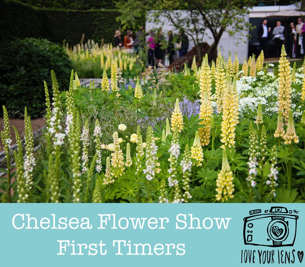 Chelsea-Flower-Show