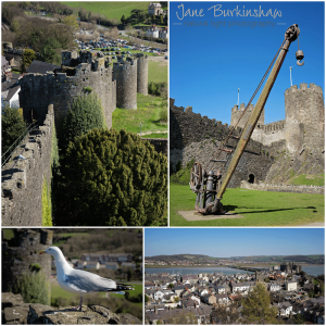 Conwy Castle