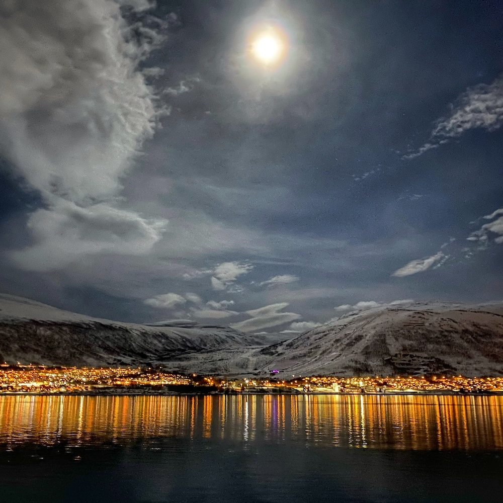 nightime 1 - wendy stout-2 copy