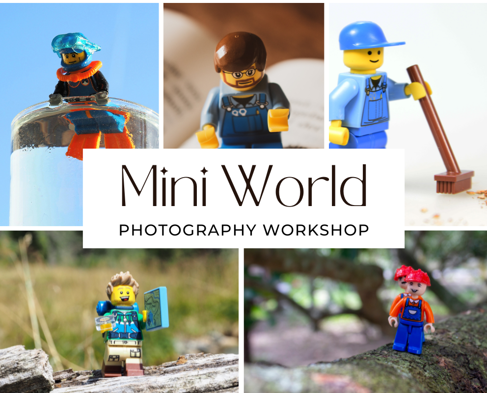 Mini World