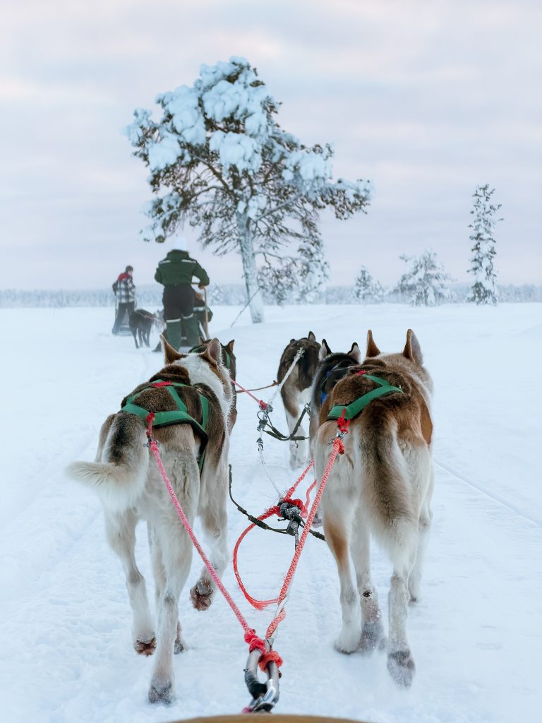 How_to_photograph_lapland_with_a_phone