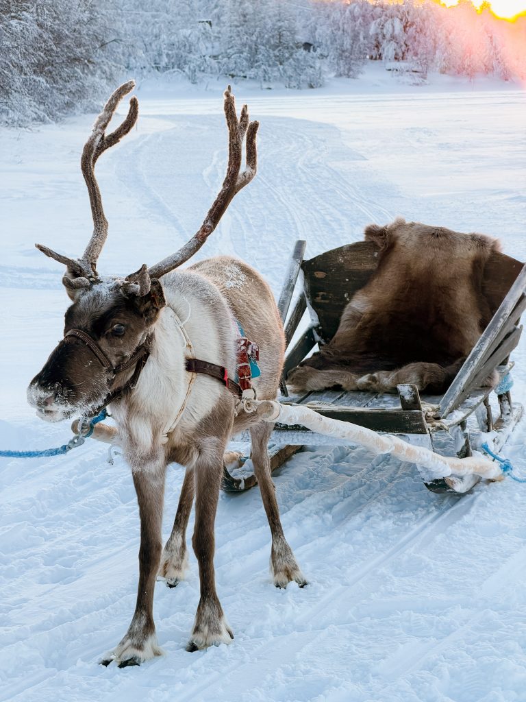 winter_holiday_phone_photography_tips