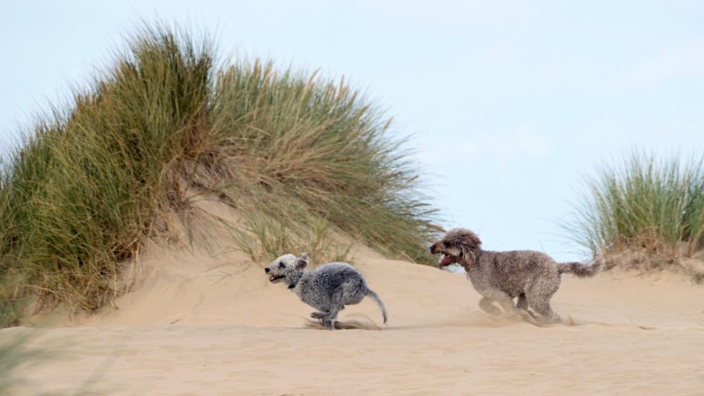 why are my images not sharp